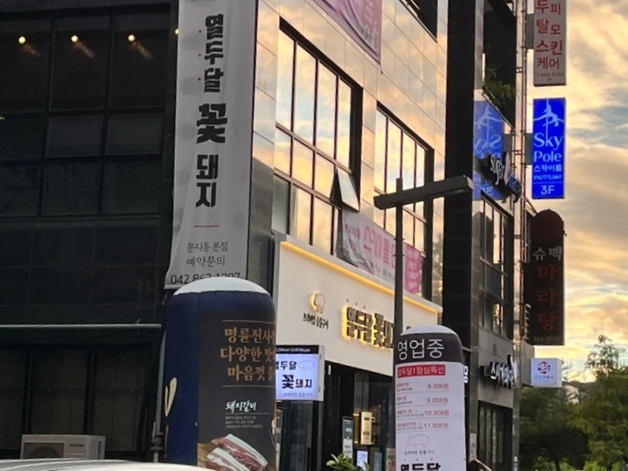 열두달꽃돼지 이미지
