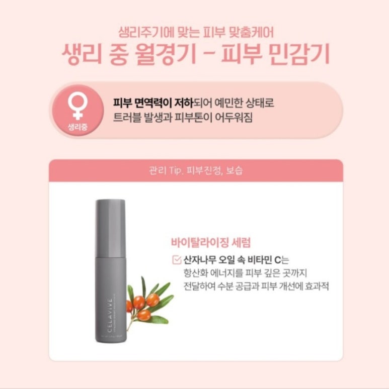 스킨365 이미지