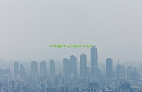 미세잎 이미지