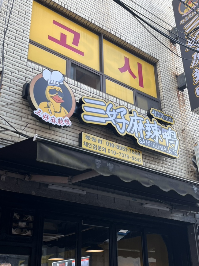 삼호핫오리 이미지