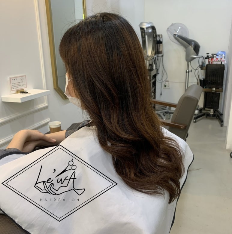 살롱드르와 이미지