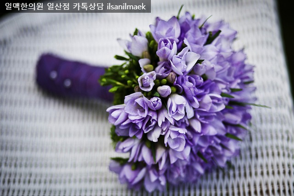 파주한의원 이미지