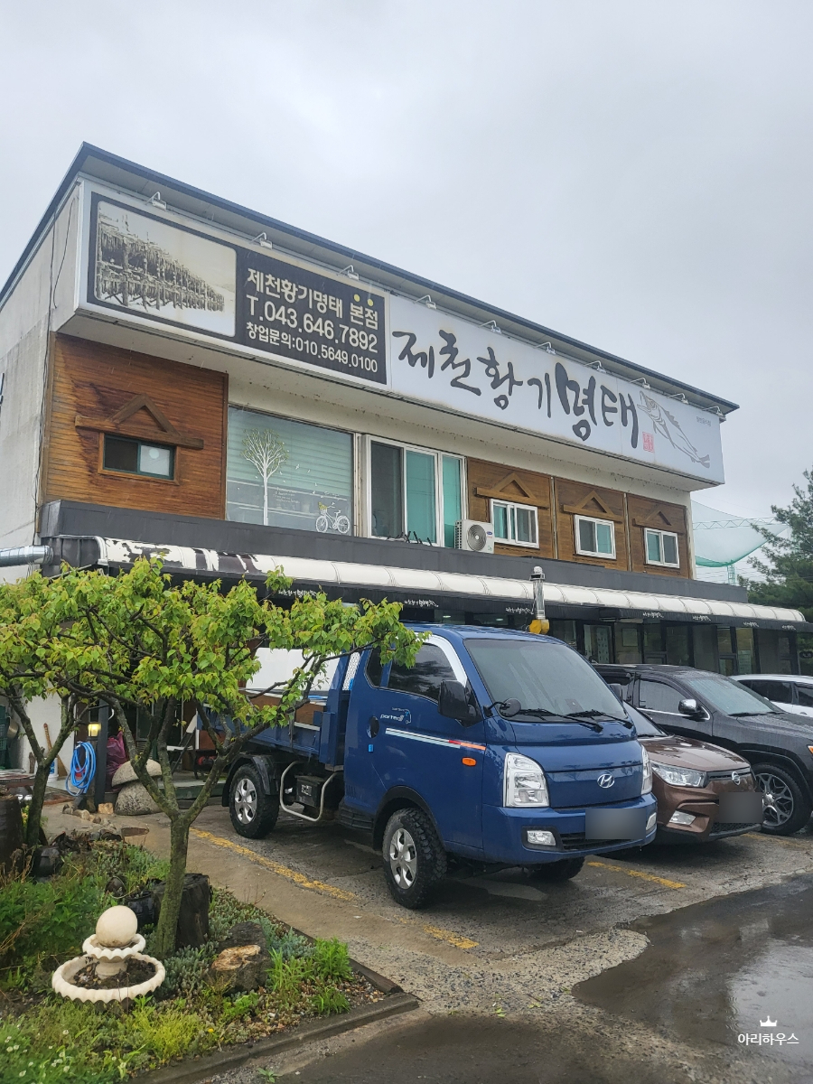 제천황기명태 이미지