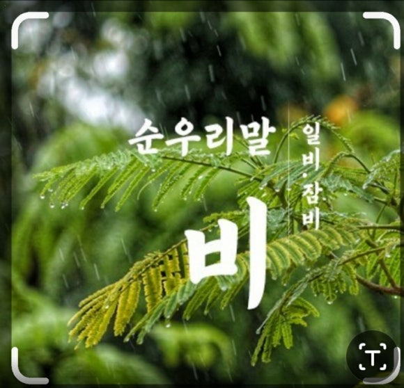 떡비 이미지