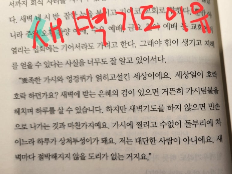 더맨타코인덕원점 이미지