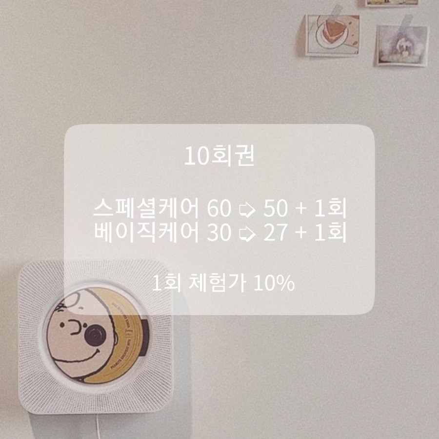 포항다나 이미지