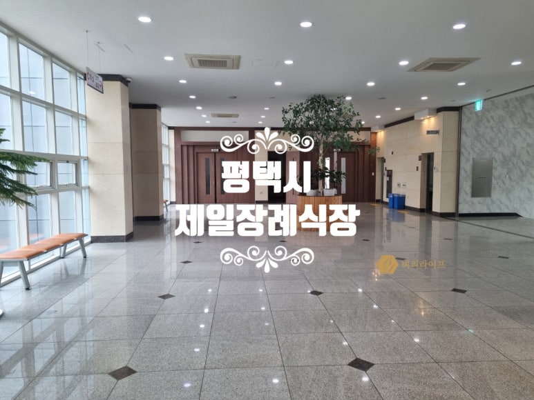 제일장의사 이미지