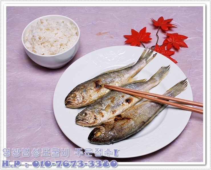영광매일굴비 이미지