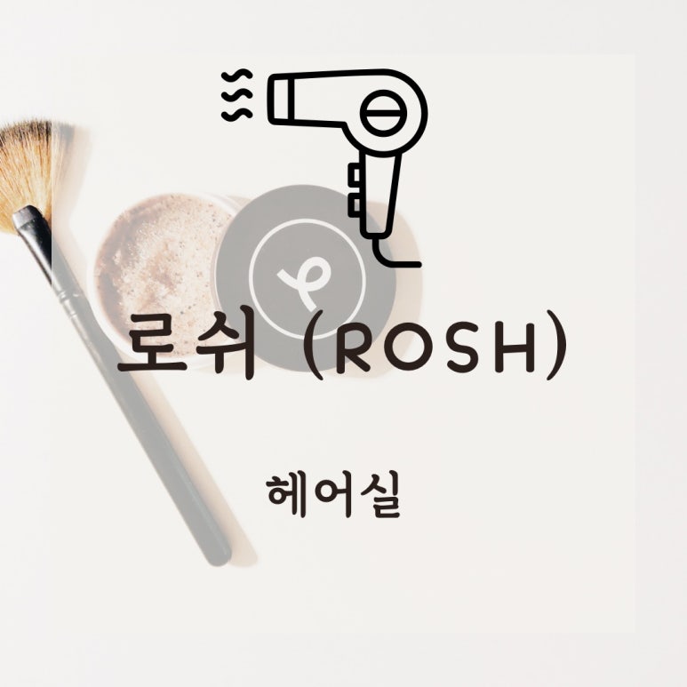 로쉬(ROSH) 이미지