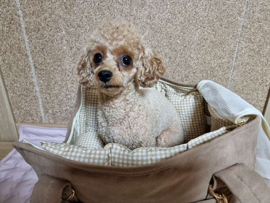 주식회사 휴가중 이미지