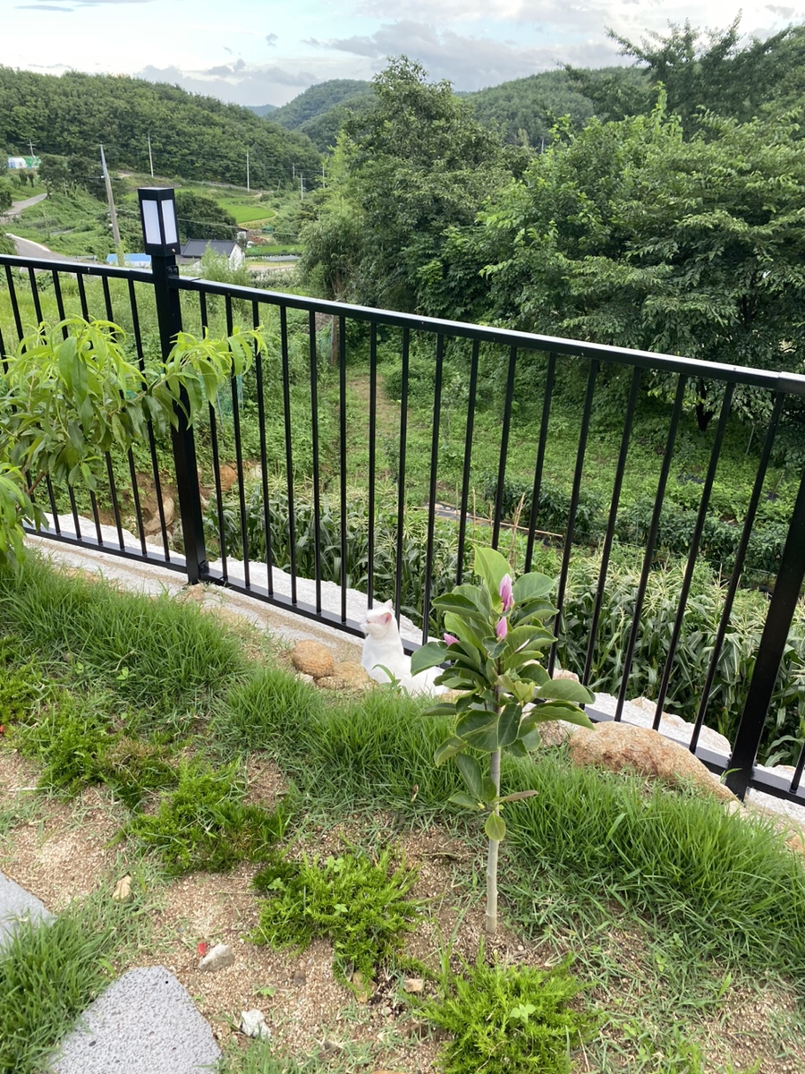 미소풀하우스 이미지