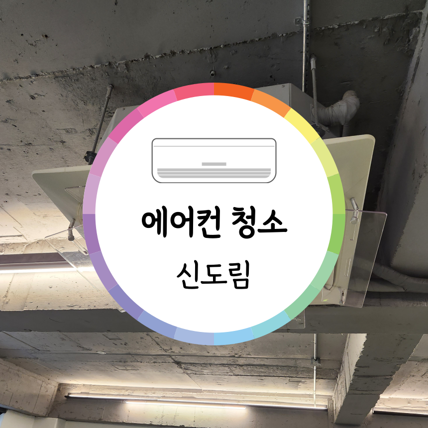 라이프짐MMA 이미지