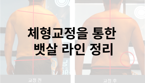 헬시포유 이미지