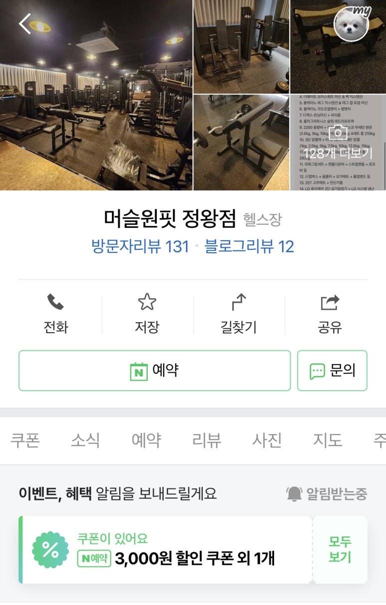 머슬원핏배곧 이미지