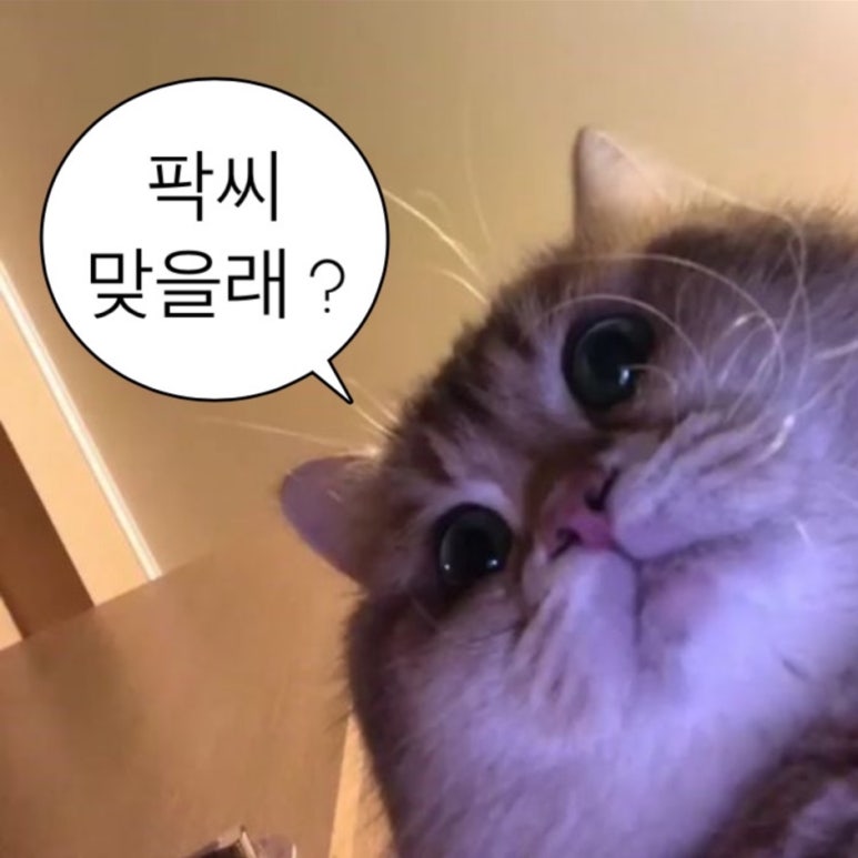 빵이요베이커리 이미지