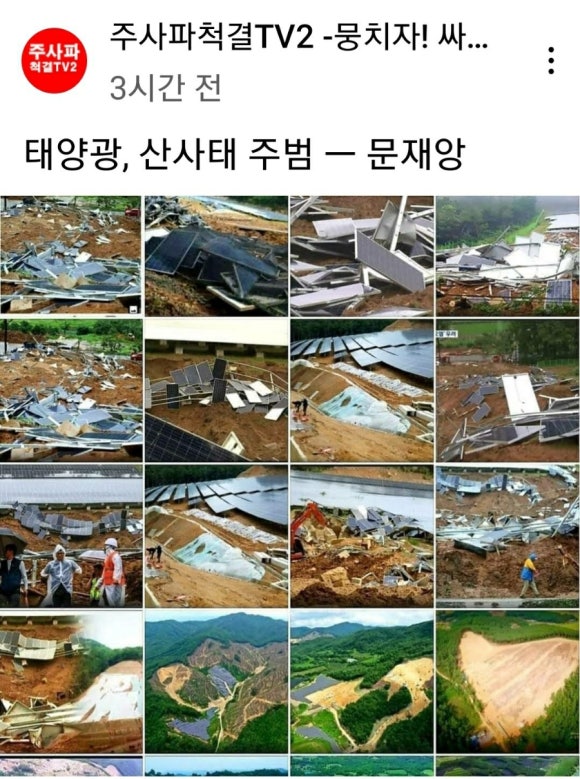 태양산림 이미지