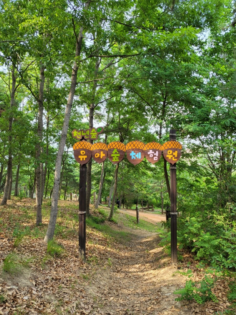 천년숲 유아숲체험원 이미지
