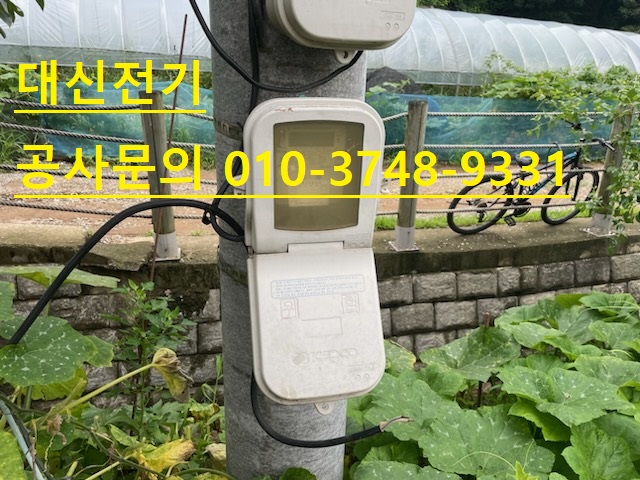 정진전기 이미지
