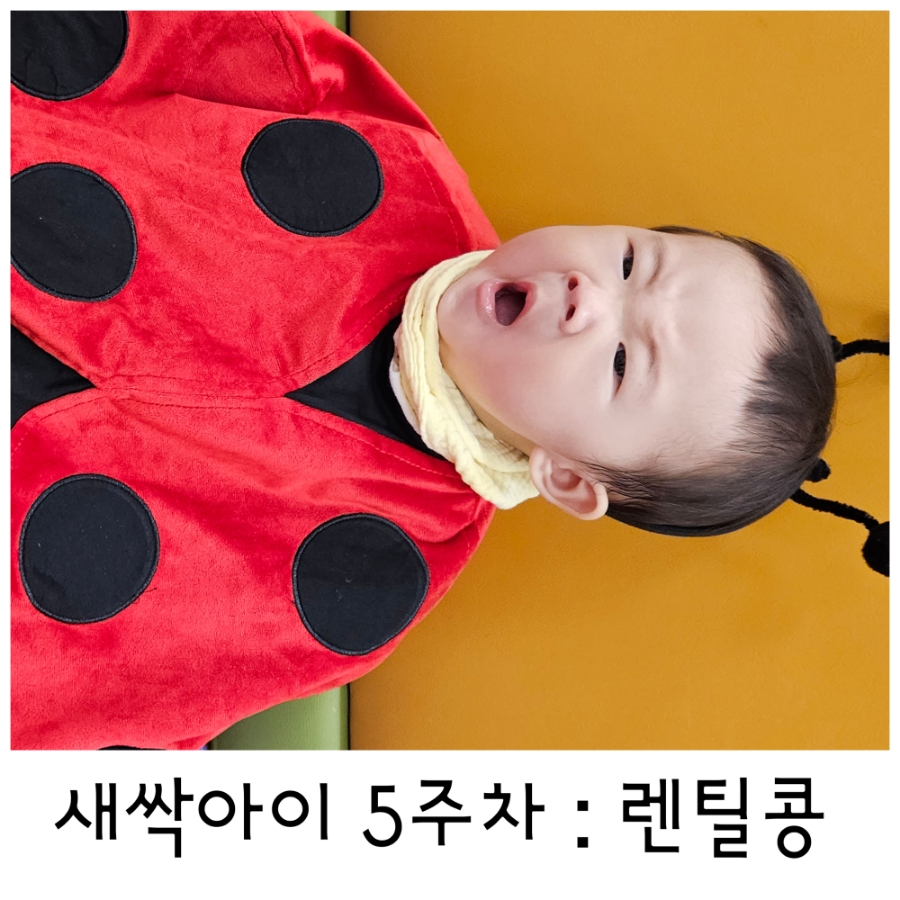 (주)이마트 진접점 이미지
