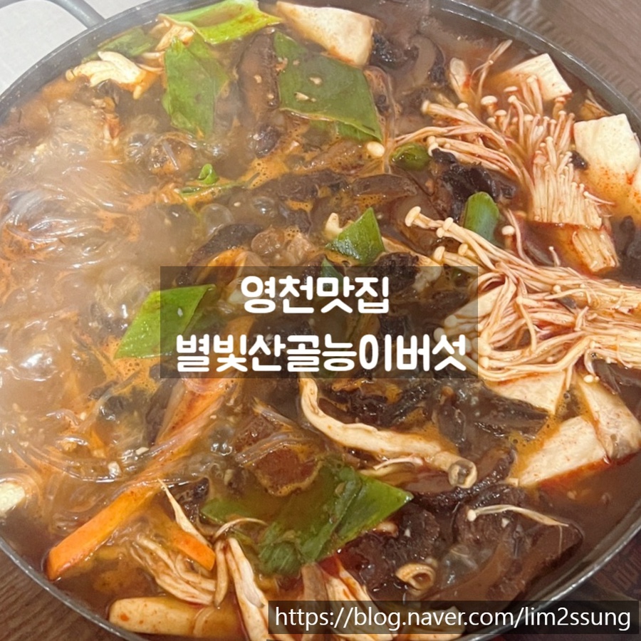별빛산골능이버섯 이미지