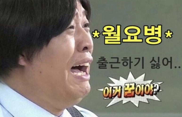 슬리밍고 이미지