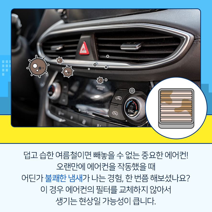 주식회사더스윗 이미지