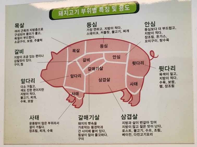 만물정육점 이미지