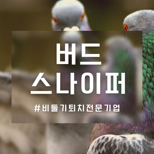 청소스나이퍼 이미지