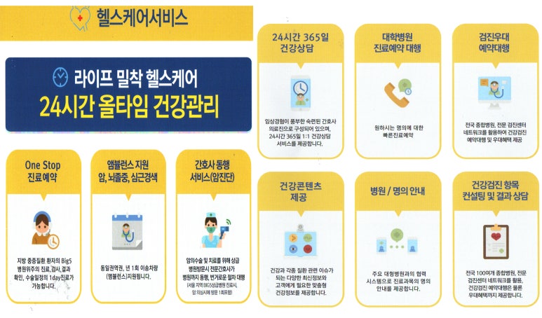 태양라이프 이미지