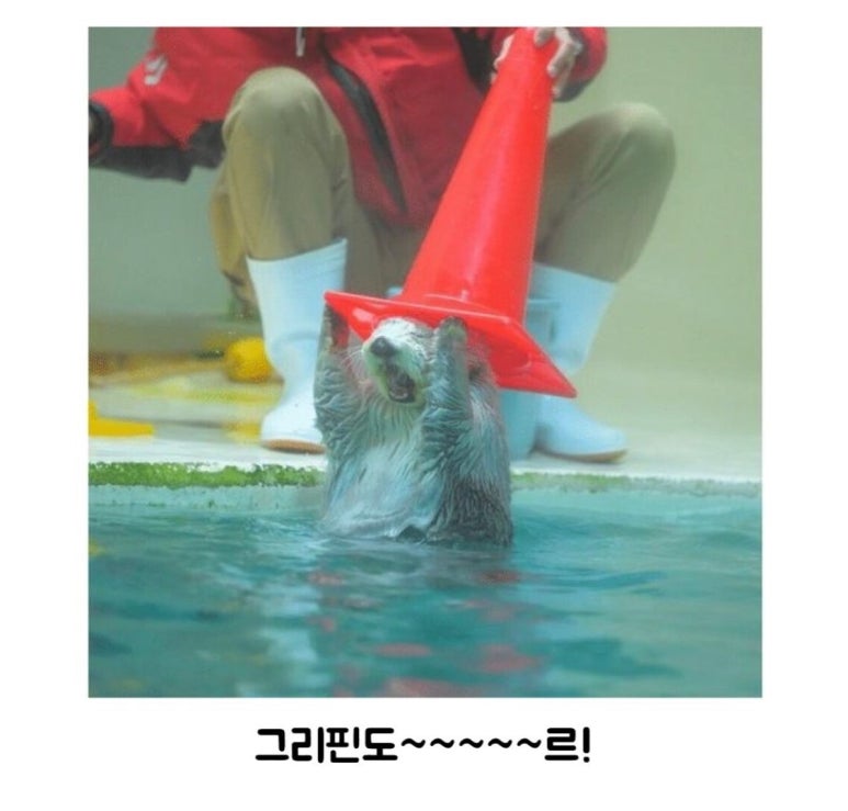 학성사 이미지