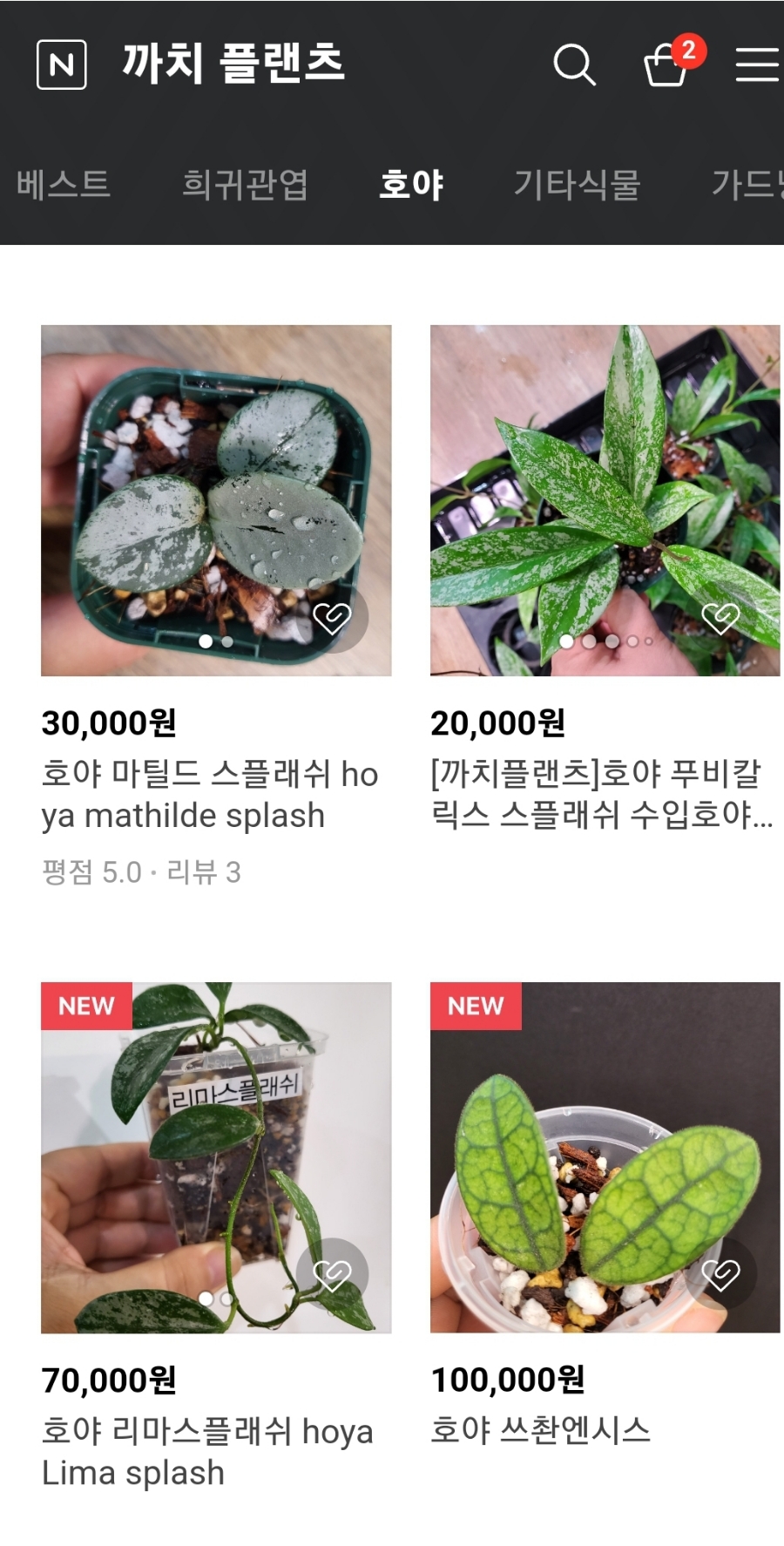 까치스토어 이미지