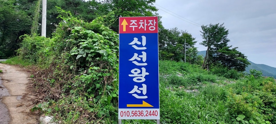 신선왕선 이미지