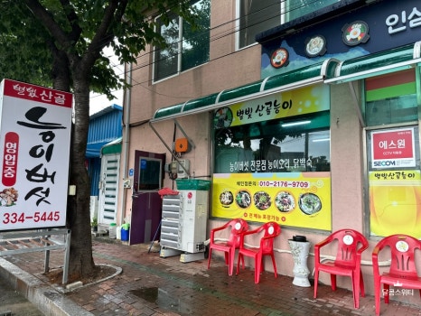 별빛산골능이버섯 이미지