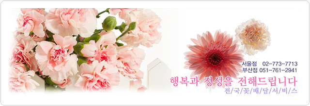 다솜화원 이미지