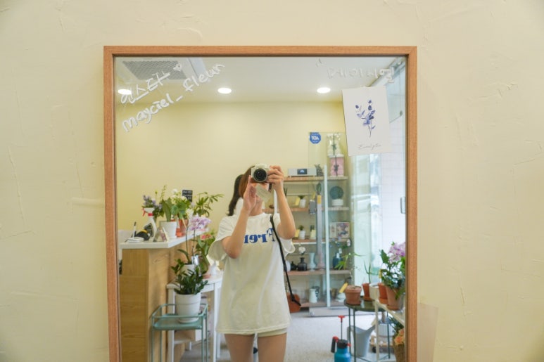 메이씨엘 이미지