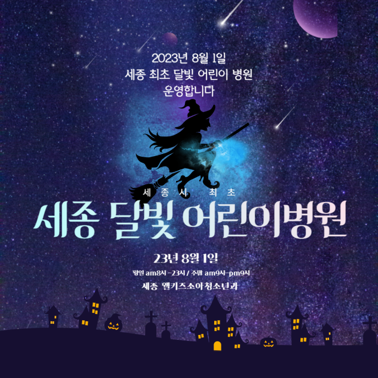 세종달빛 이미지