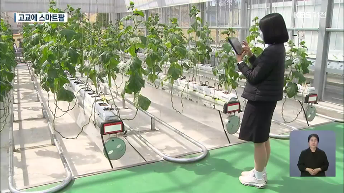 팜스마트 이미지