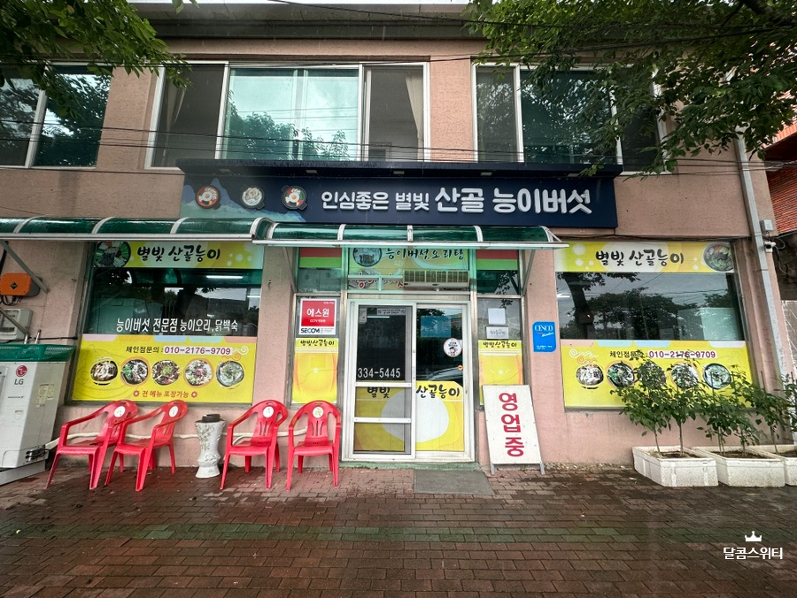 별빛산골능이버섯 이미지