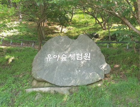 생거진천 유아숲체험원 이미지