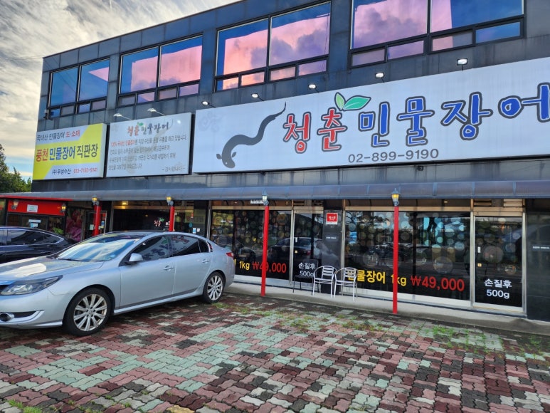 청춘민물장어 이미지