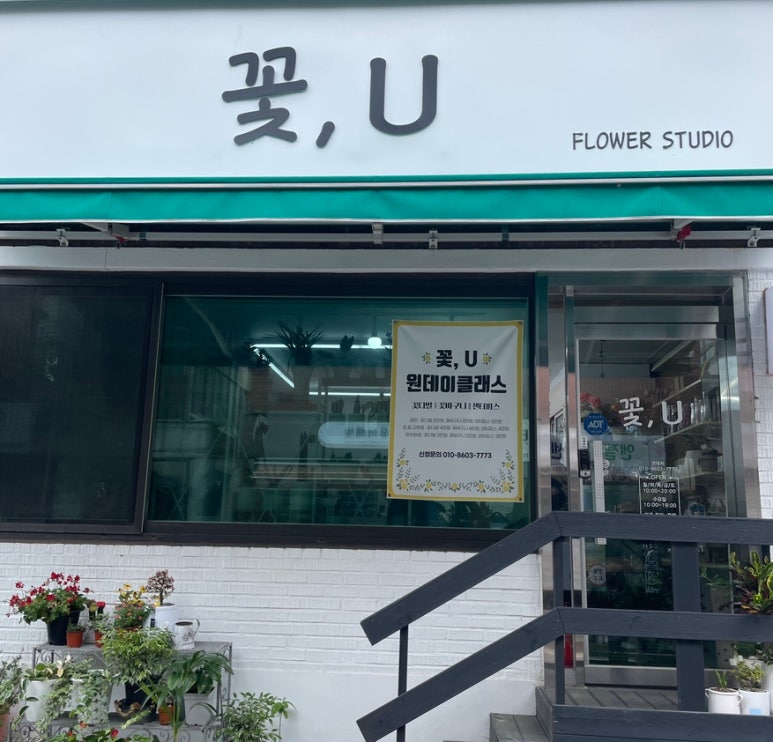 꽃;U 이미지