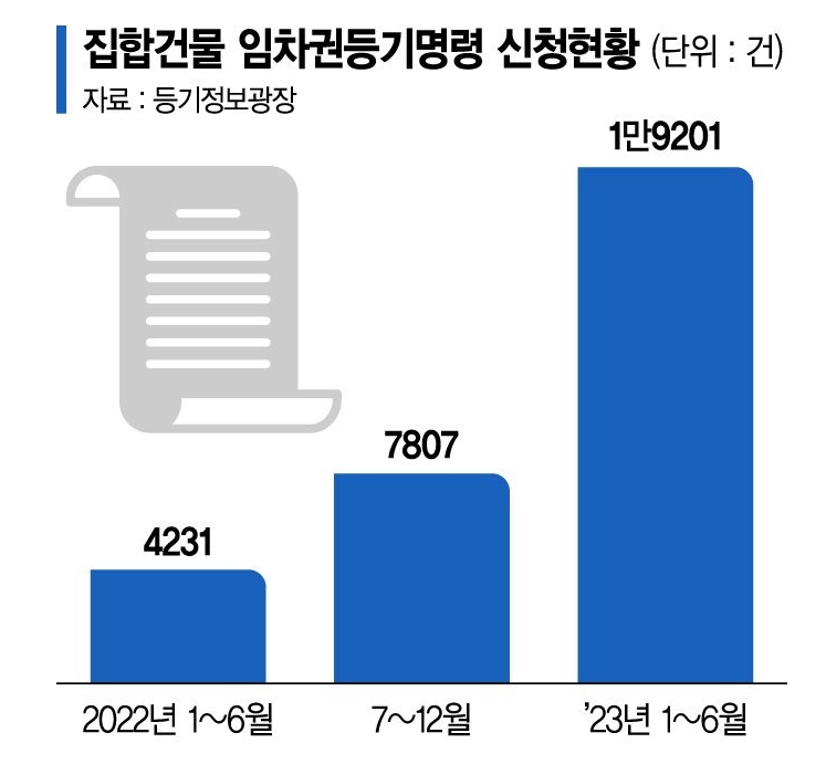새올법률사무소 이미지