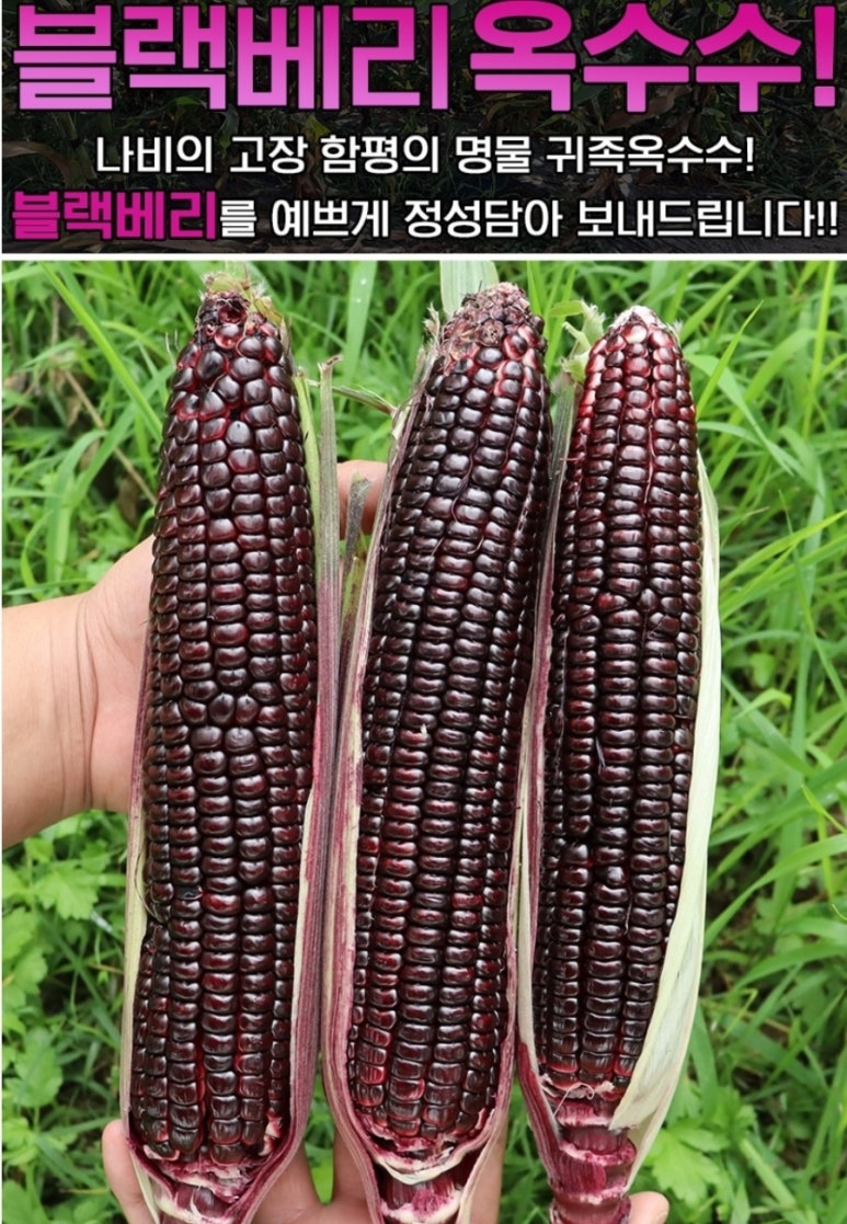 나비영농조합법인 이미지