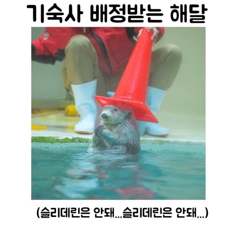 학성사 이미지