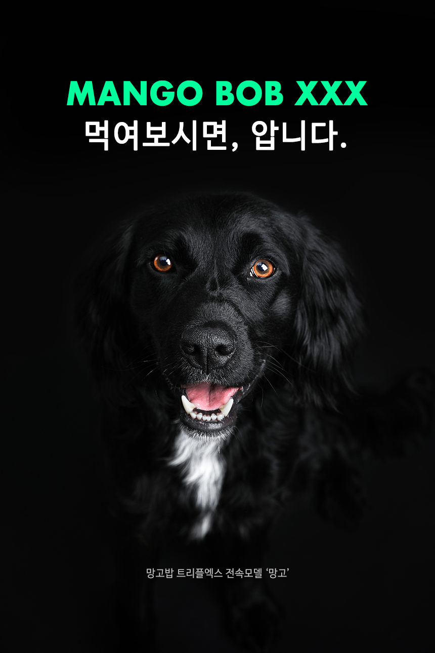 비에프푸드 이미지