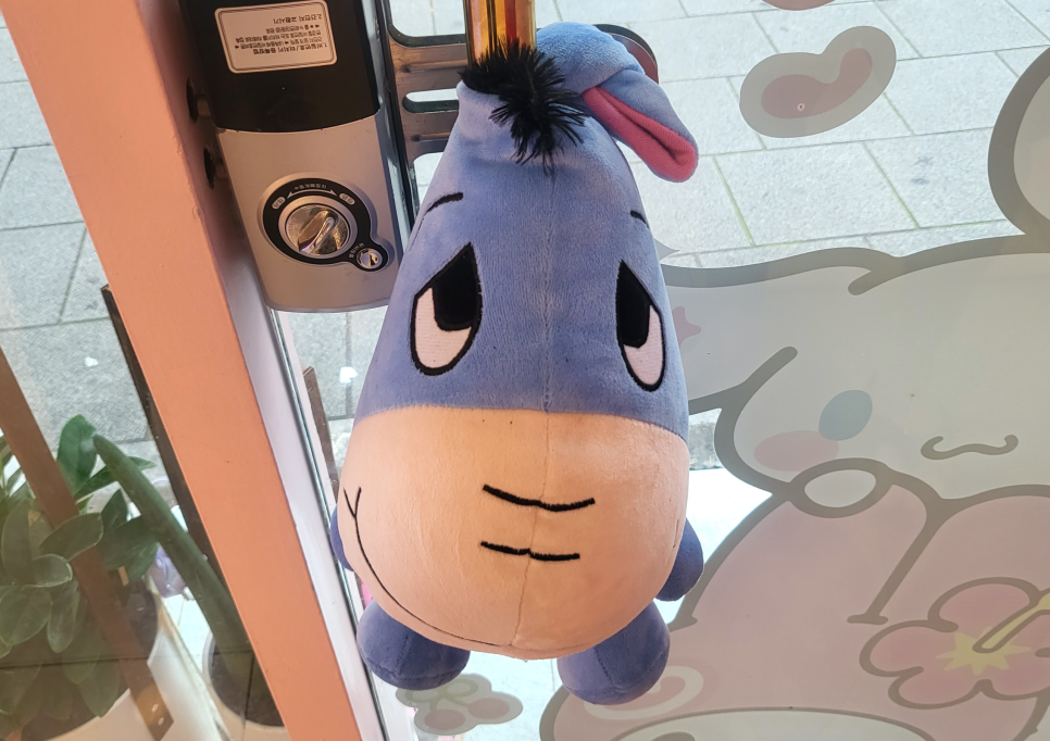 도골도골 이미지