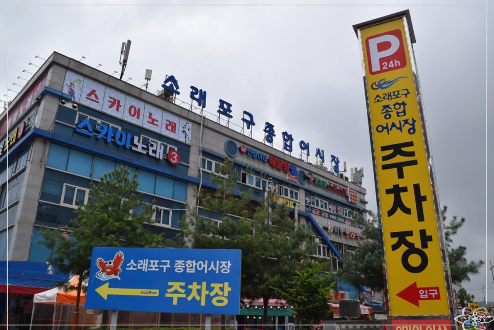 해남해산물 이미지