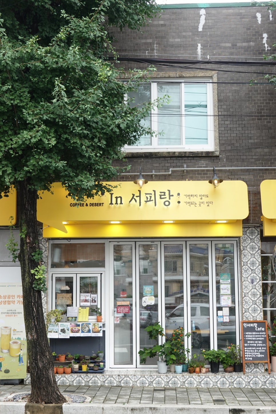 인서피랑 이미지