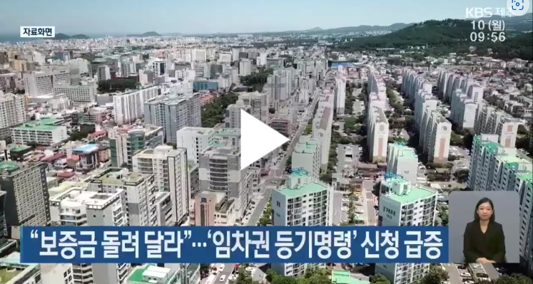 새올법률사무소 이미지