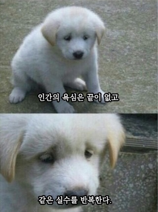 찐하오 이미지